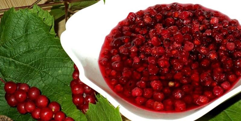 Schisandra pour augmenter la puissance