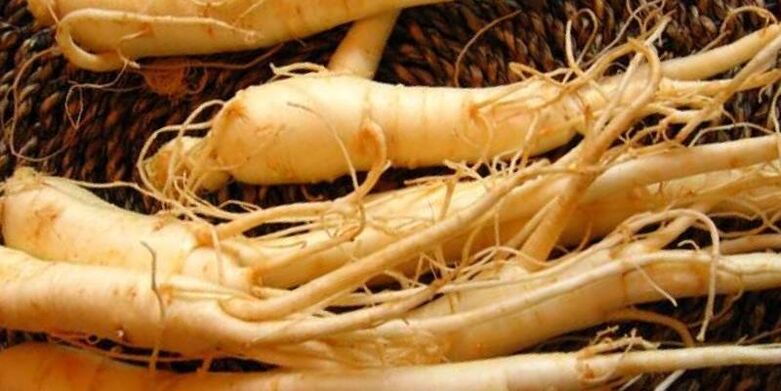 racine de ginseng pour augmenter la puissance